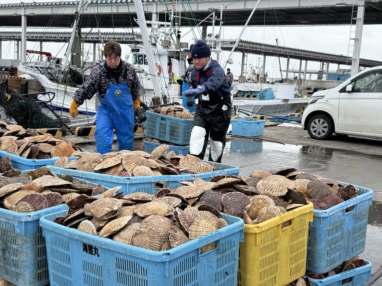 【1年後】「ホタテ漁師」を目指す甲子園出場時の主将・中道さん ©Yuji Yanagawa
