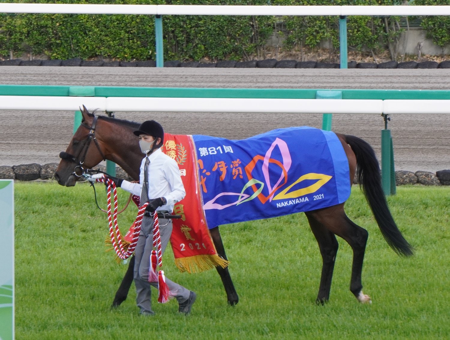 無敗で皐月賞を制したエフフォーリア