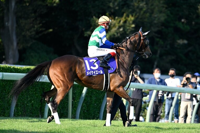 1番人気メイケイエールはなぜ不発に終わった？ 波乱のスプリンターズS、「すべての展開が味方した」ジャンダルムが生んだ“血のドラマ”(16)