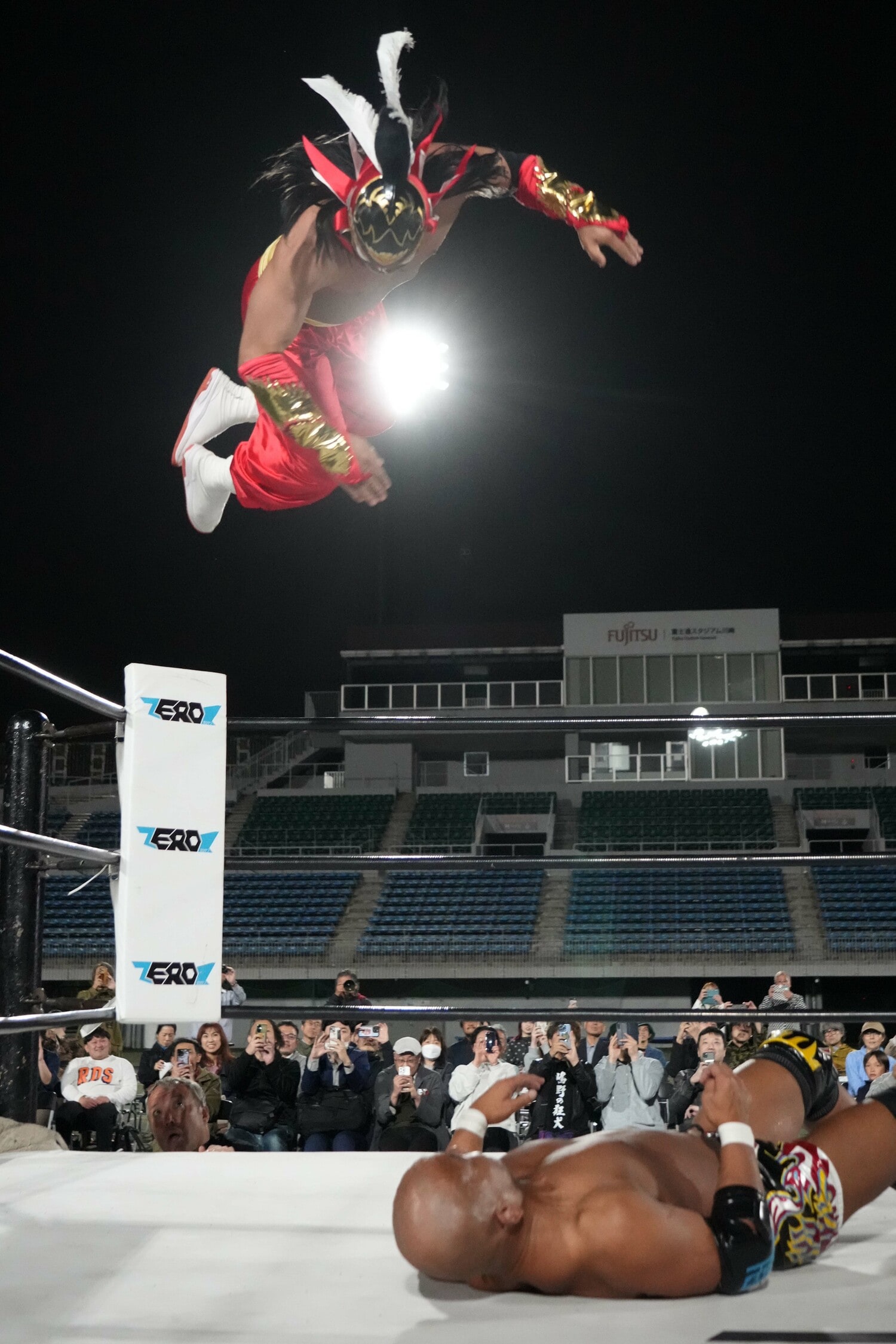 ハヤブサのフェニックス・スプラッシュ　©Essei Hara