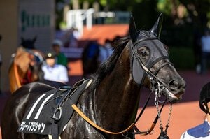 グレートマジシャンに私たちは夢を見た…生涯わずか5戦、ダービー4着、藤沢和雄元調教師も「この馬は凄いぞ」と評した“異次元の末脚”を忘れない