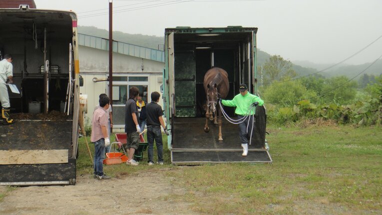 2011年8月、日高町に馬運車で到着したメジロマイヤー