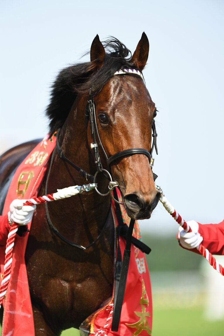 ワグネリアンのダービー制覇