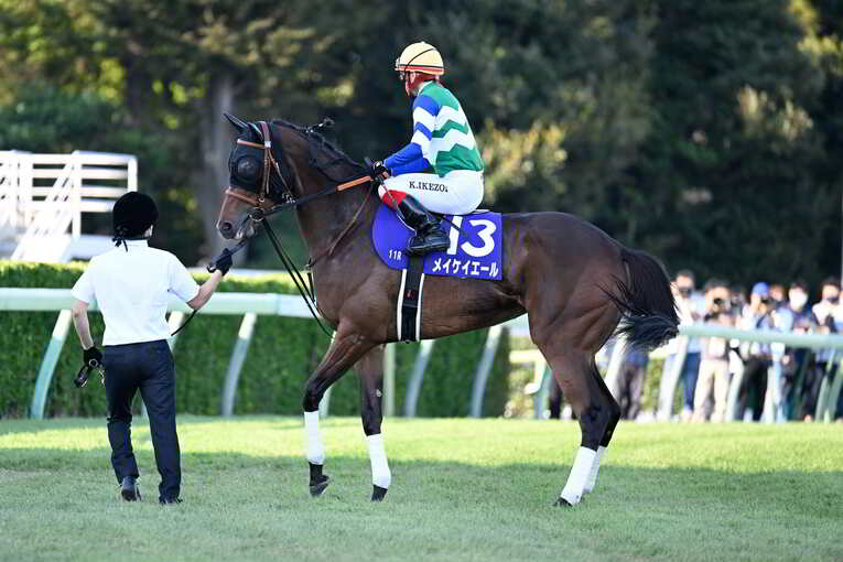 1番人気メイケイエールはなぜ不発に終わった？ 波乱のスプリンターズS、「すべての展開が味方した」ジャンダルムが生んだ“血のドラマ”(14)