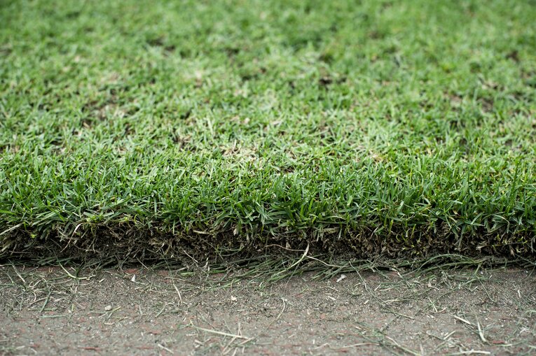 「最高峰のラグビー」のための決断。決勝の地、日産スタジアムの芝管理。(4)