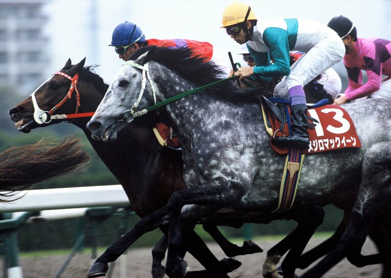 メジロマックイーンと武豊。1993年の産経大阪杯ではナイスネイチャに5馬身差で圧勝した　©Tomohiko Hayashi