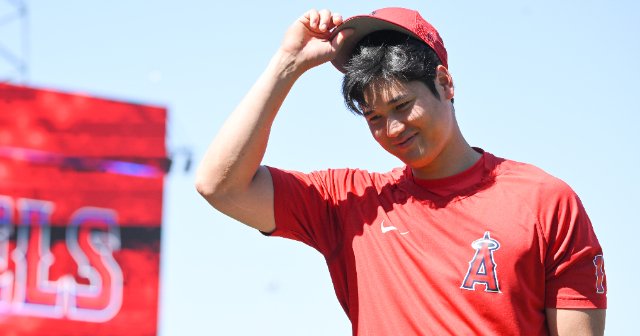 大谷翔平♪花巻東♪2012岩手大会ダイジェストDVD & 公式プログラム♪ 大谷