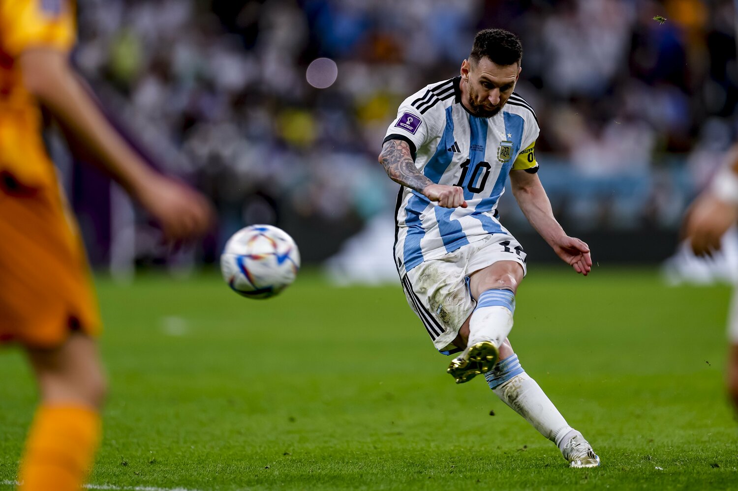 ©Kiichi Matsumoto/JMPA