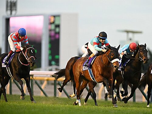 img_dfb1719eca458411a6b0c00b26