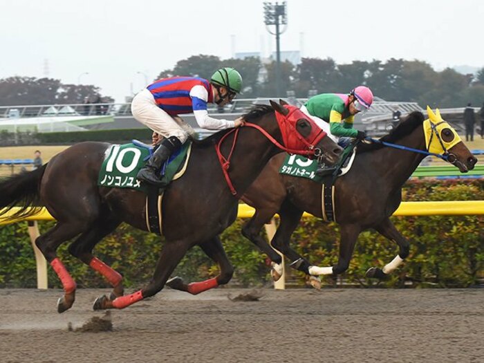 チャンピオンズカップは2強＋1頭。3歳馬ノンコノユメは“渋いマーク屋”。＜Number Web＞ photograph by NIKKAN SPORTS