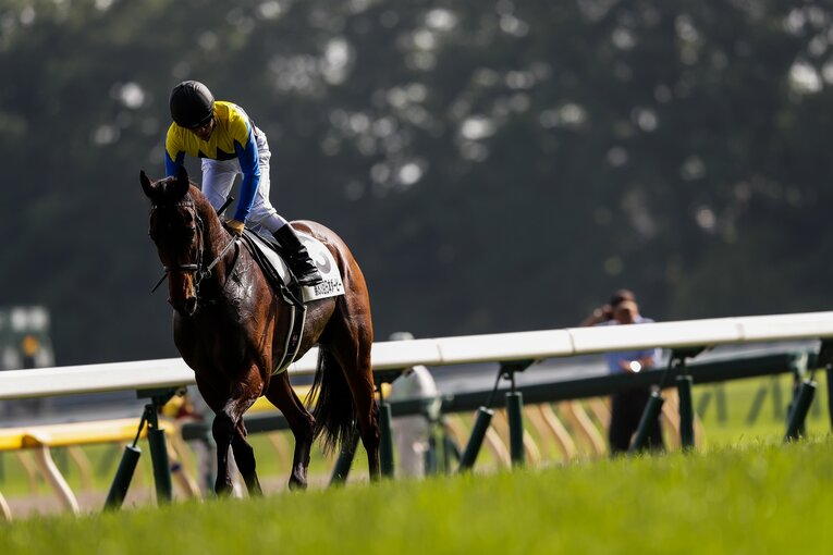 第83回（2016年）日本ダービーを制したマカヒキと川田将雅　©︎Kiichi Matsumoto