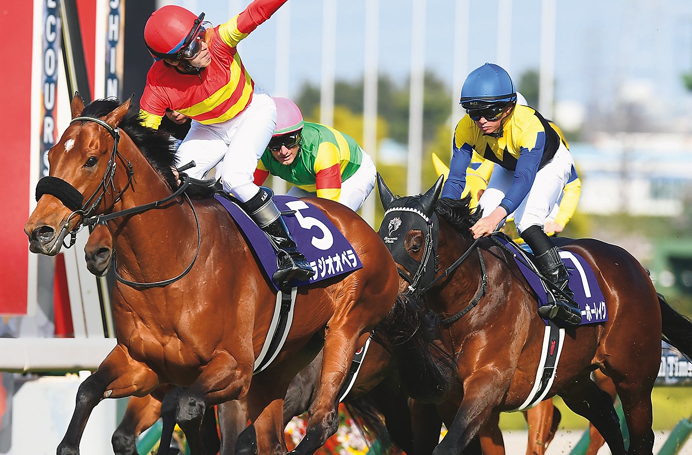 ベラジオオペラ 横山和生サインカード べラジオペラ ホースレーシング