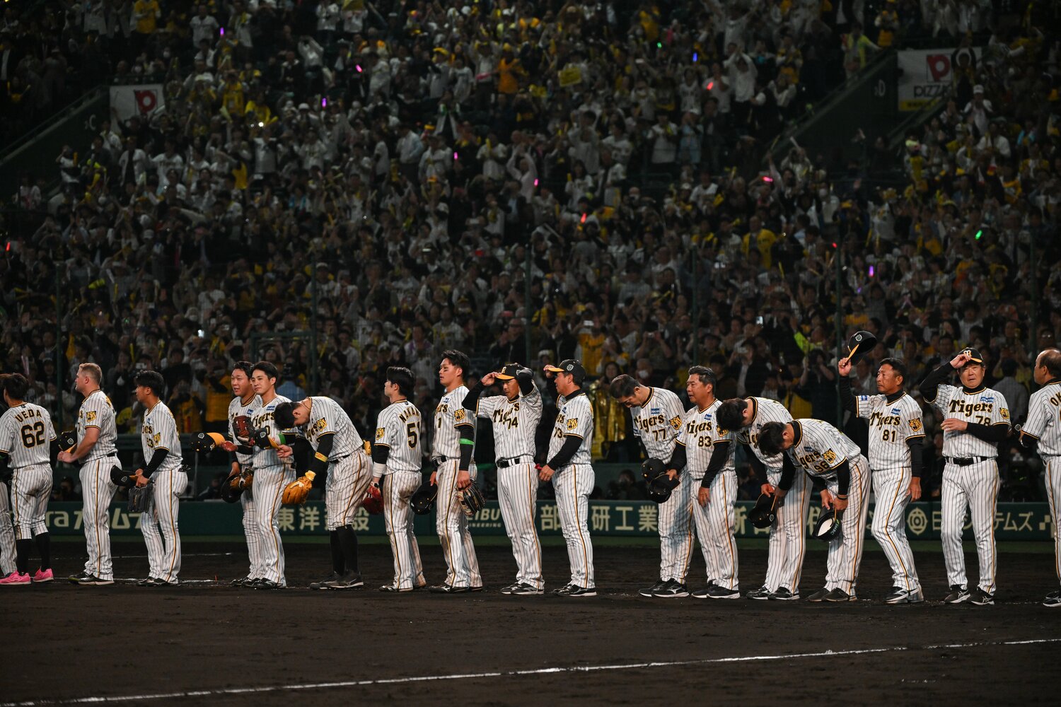 阪神ナインと熱狂的なアルプススタンド　©Nanae Suzuki