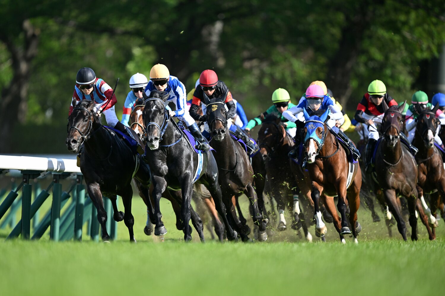 4コーナーで一瞬、ロブチェンをかわして先頭に立つリアライズシリウス　©Keiji Ishikawa