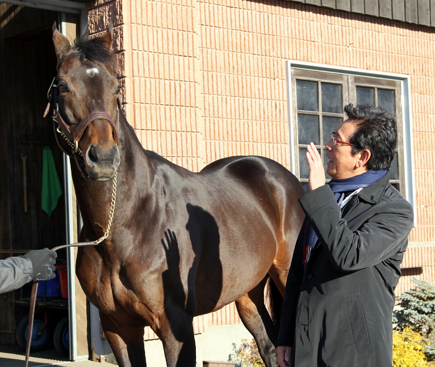 憧れのディープインパクトと心と心で会話する栗山監督（右）　©SANKEI SHIMBUN