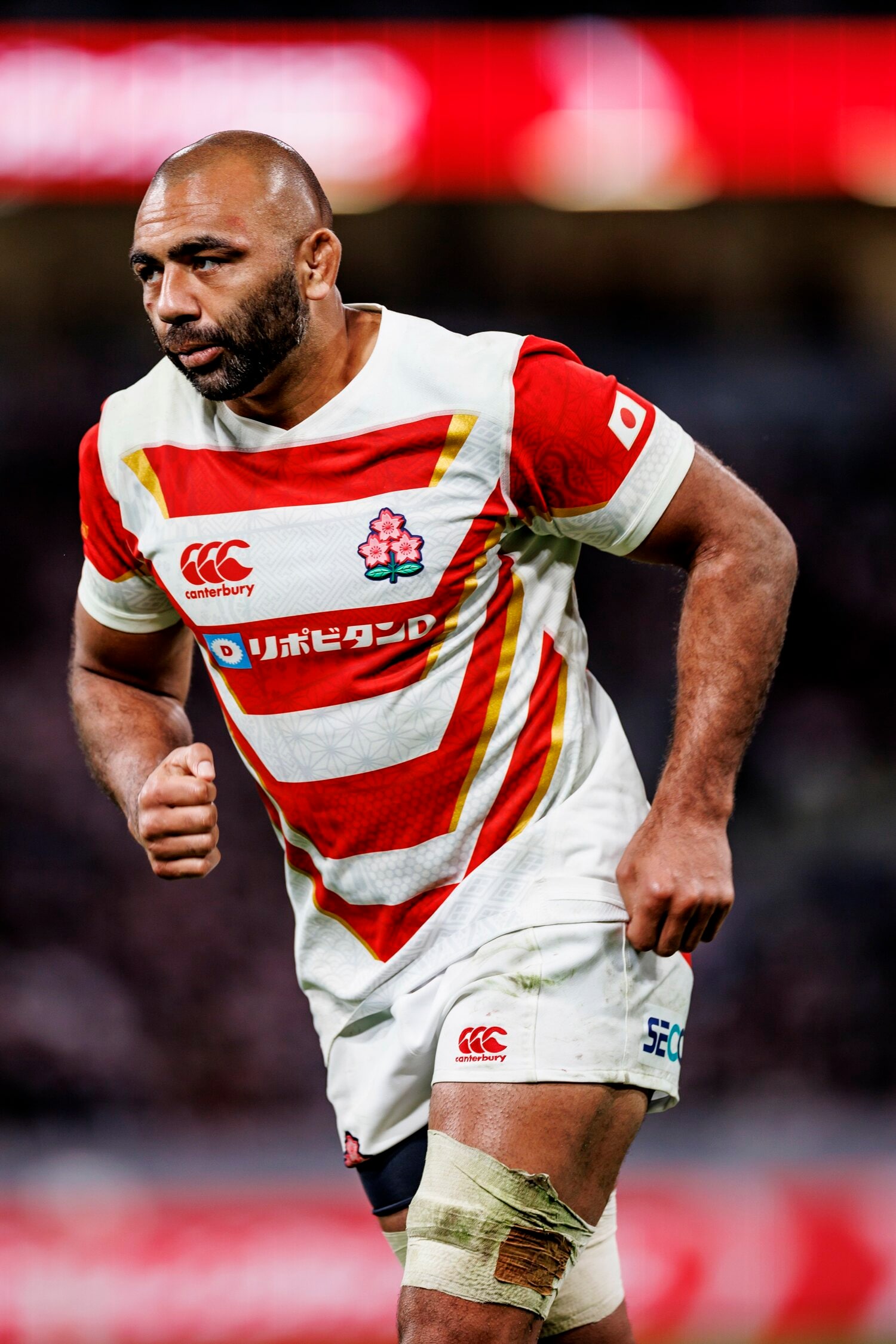 ©︎Kiichi Matsumoto