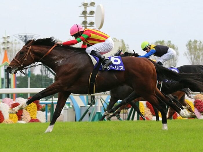 GIを2連勝したマイルは本当にベスト？モーリスが秘める圧倒的なポテンシャル。＜Number Web＞ photograph by Yuji Takahashi