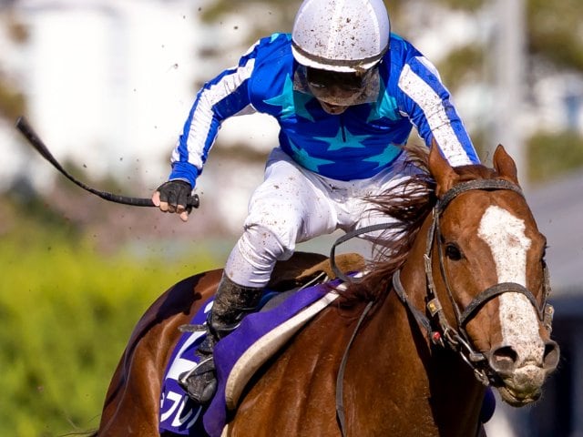 3連単278万円超の大波乱に…8番人気ナランフレグはなぜGI高松宮記念で