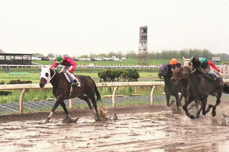 宇都宮競馬場が輩出した名馬ドージマファイター。「栃木の怪物」とも呼ばれた。写真は27連勝を記録したレース（足利競馬場で撮影） ／ photograph by JIJI PRESS