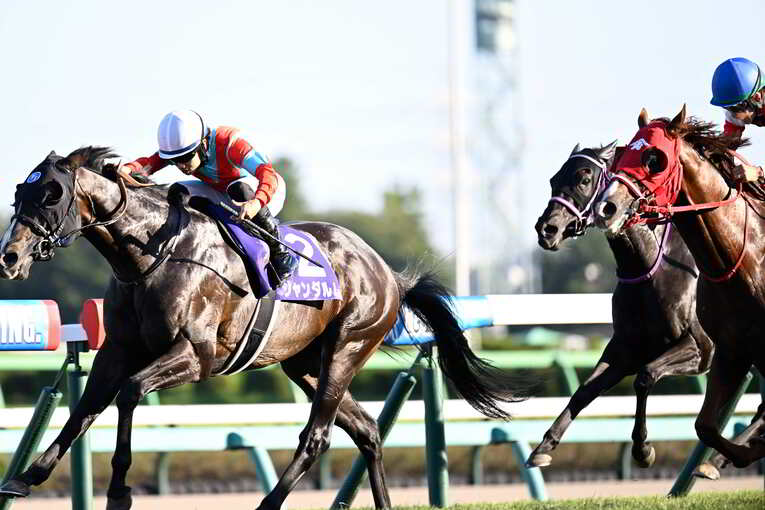 1番人気メイケイエールはなぜ不発に終わった？ 波乱のスプリンターズS、「すべての展開が味方した」ジャンダルムが生んだ“血のドラマ”(34)