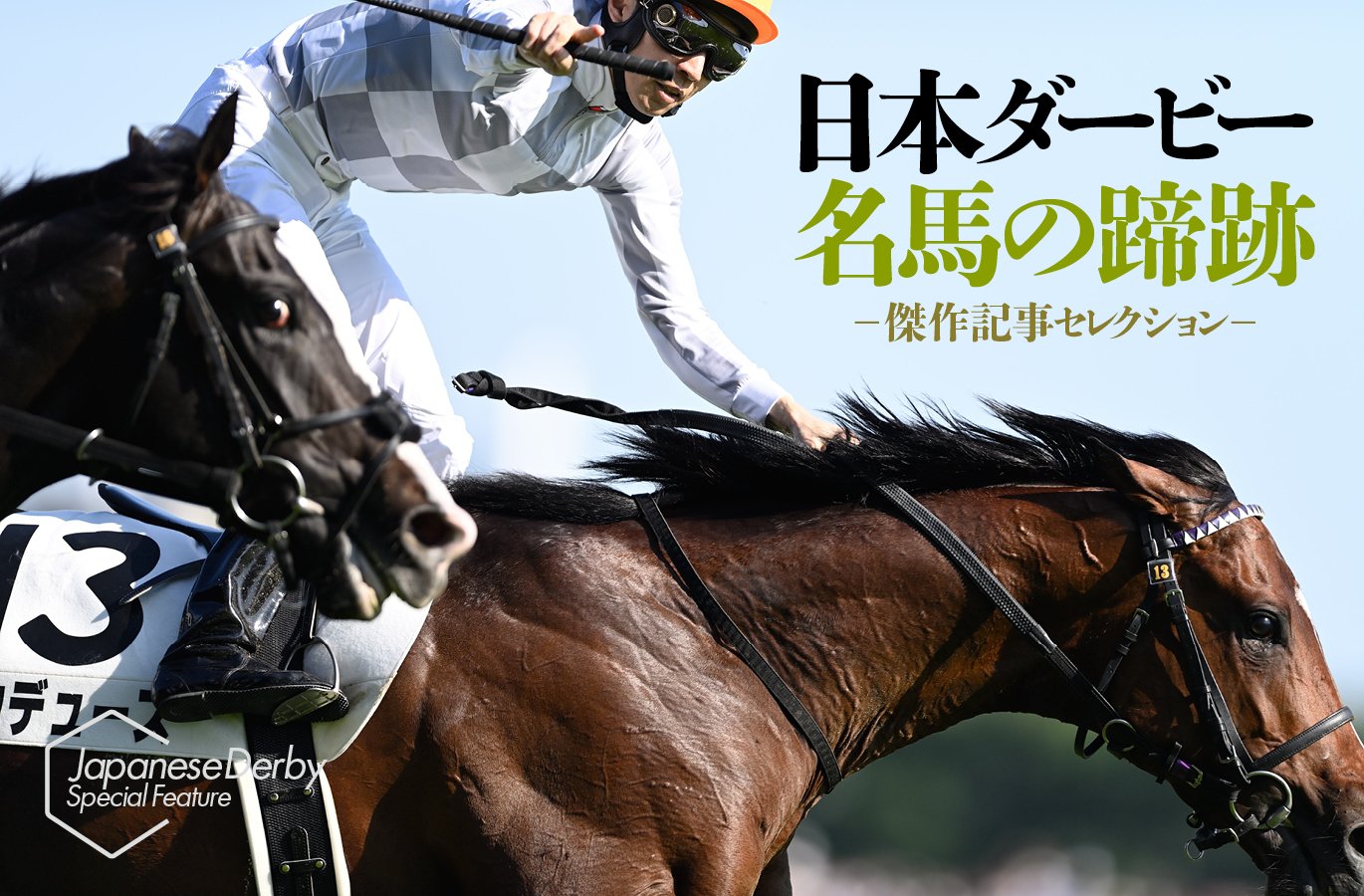 ナイスネイチャ号の蹄鉄 優駿たちの蹄跡」(14/15) 引退後のナイスネイチャは廃用待った
