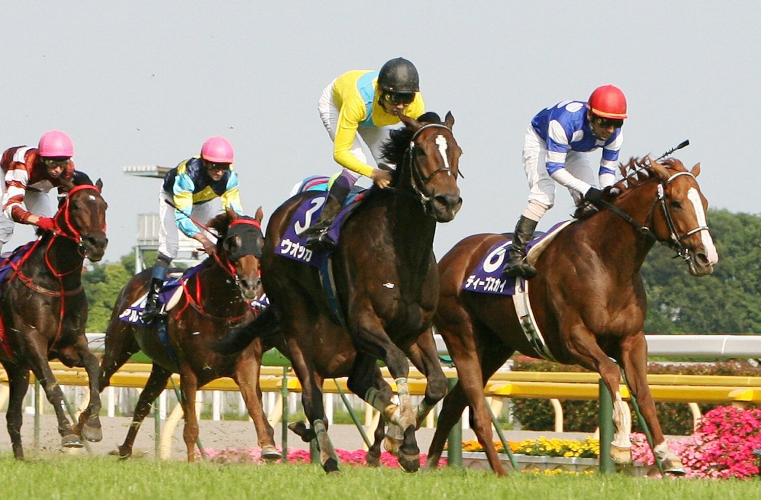 武豊はウオッカに騎乗して安田記念を勝利した　©JIJI PRESS