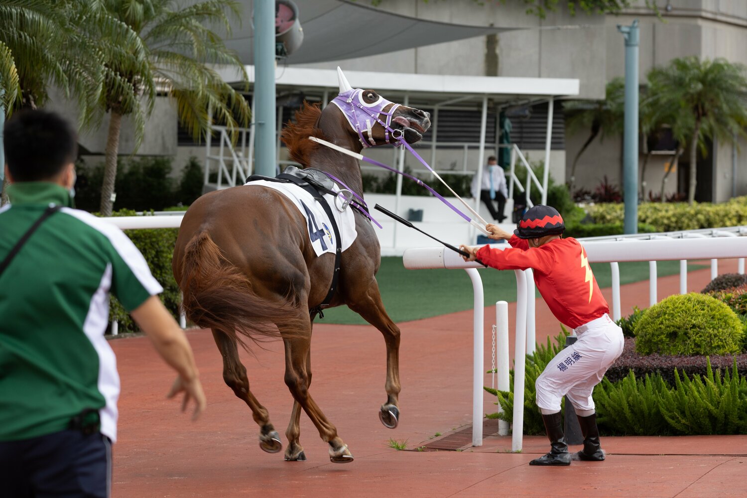 興奮して暴れるサラブレッドを人間の力で制御するのは難しい　©Getty Images