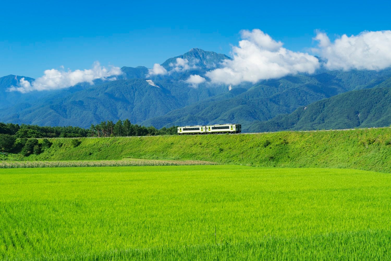 田園を走るJR小海線越しに望む甲斐駒ケ岳 ©JIJI PRESS