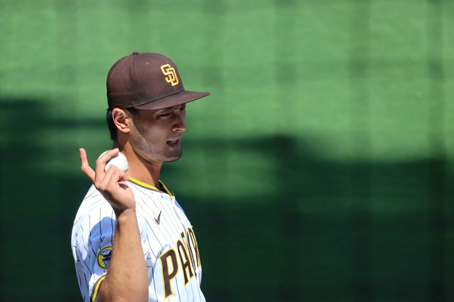 実は「新球」の開発に取り組んでいた　©Yuki Yamada