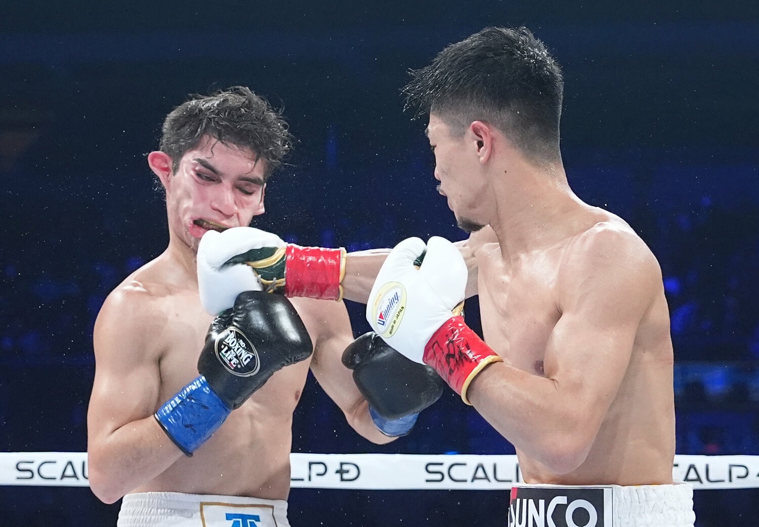 中谷の桁違いのパワーを前に、挑戦者クエジャルの顔面が歪んだ　©︎Naoki Fukuda