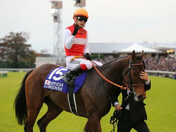 7年間で5勝、日本の牝馬がJC制覇。ショウナンパンドラが「名馬」の域へ。＜Number Web＞ photograph by Yuji Takahashi