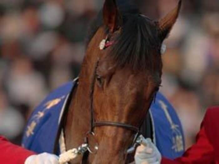 外国資本の参入によって、生産界はどう変わるのか。＜Number Web＞ photograph by Shigeyuki Nakao