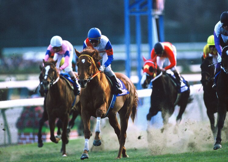 ディープインパクトが負けた日、北島三郎愛馬の引退レースは何位 ...