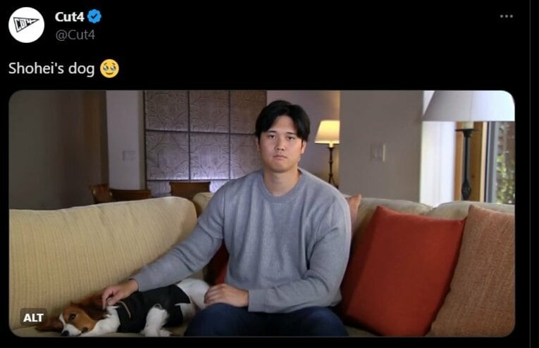 MVP発表会見での大谷さんと“犬谷さん”　※MLBの「Cut4」公式Xより