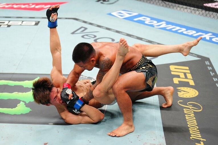 ダウンした平良達郎に追撃のパウンドを落とすヴァン　©Zuffa LLC/UFC