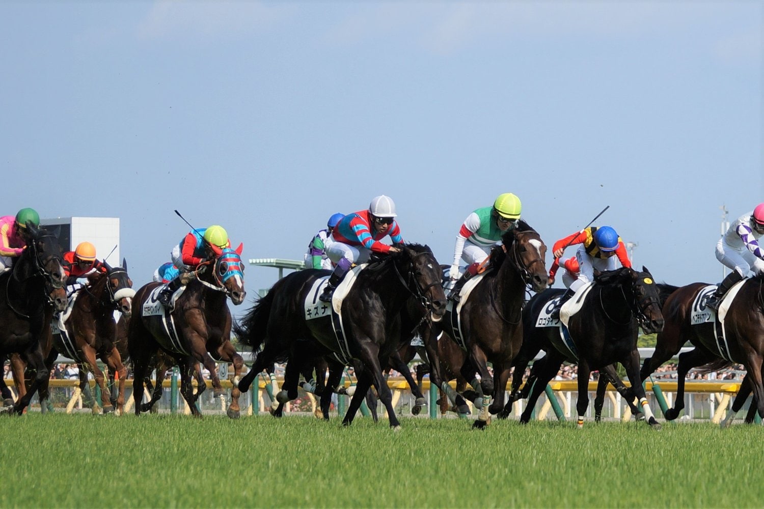 13年ダービーで2着のエピファネイア（右・黄帽）