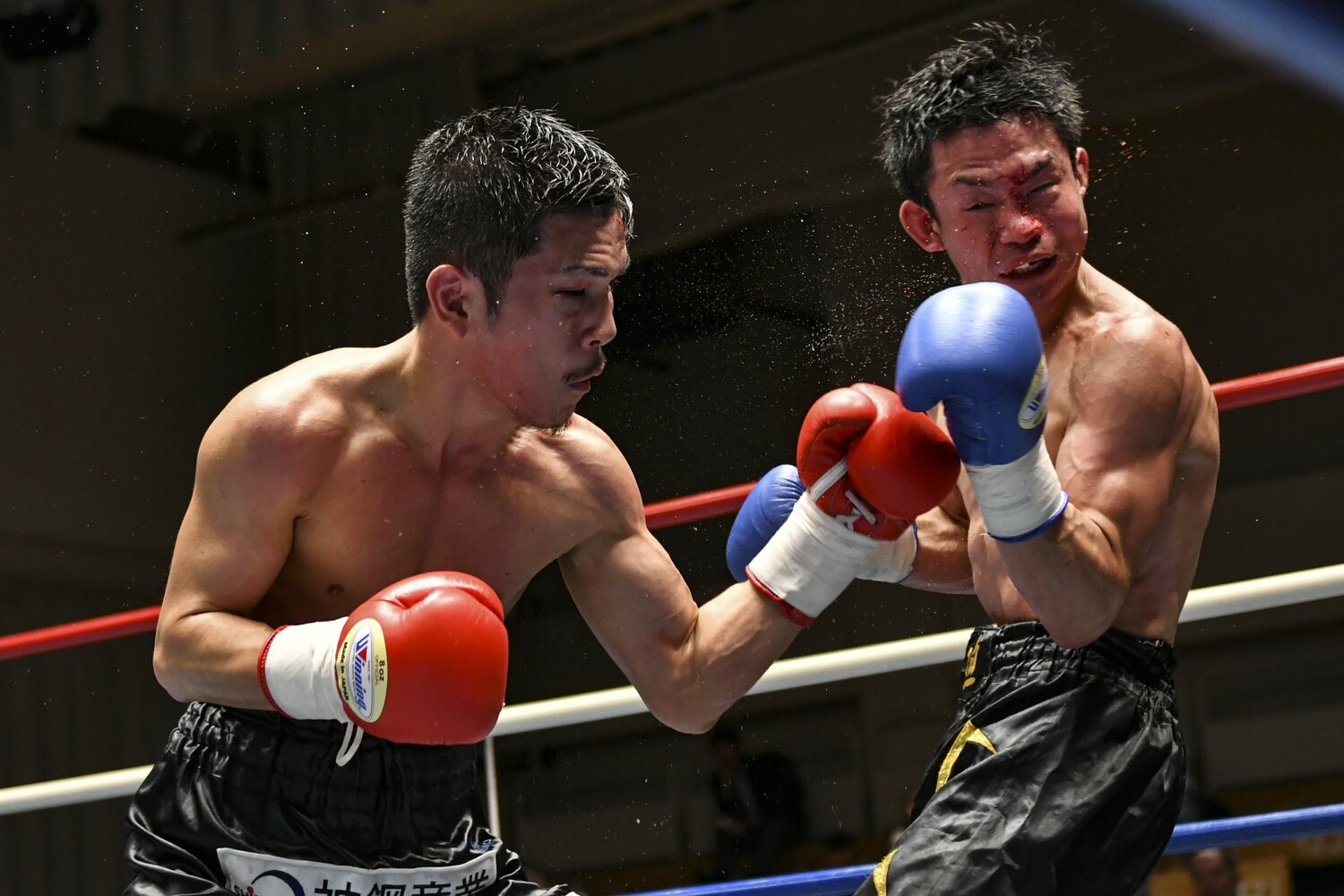 中谷潤人とのタイトルマッチの前戦。望月直樹は藤北誠也との激闘を判定2-1で制した　©Hiroaki Finito Yamaguchi