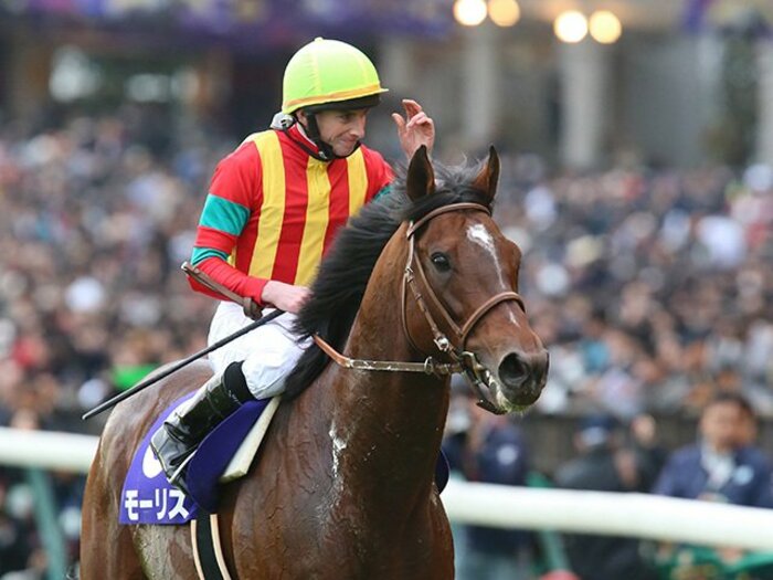 一頭だけ筋肉が全く違ったモーリス。天皇賞・秋でマイルと「2階級制覇」。<Number Web> photograph by Yuji Takahashi