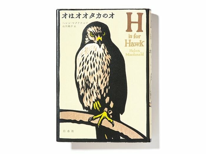 喪失感をかみしめながら綴る“死と困難の鳥”との生活。～血に飢えて、馴らしにくいオオタカを飼った女性の物語～＜Number Web＞ photograph by Sports Graphic Number