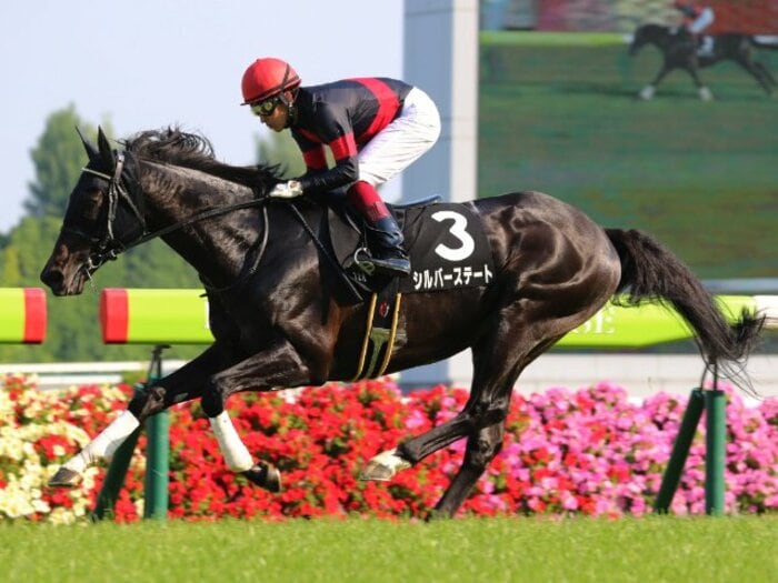 持ったままで上がり32秒7、1年7カ月ぶりの実戦で圧勝…コントレイルの背中を知る福永祐一が「排気量は一番」と絶賛した“幻の最強馬”の逸話<Number Web> photograph by Yuji Takahashi
