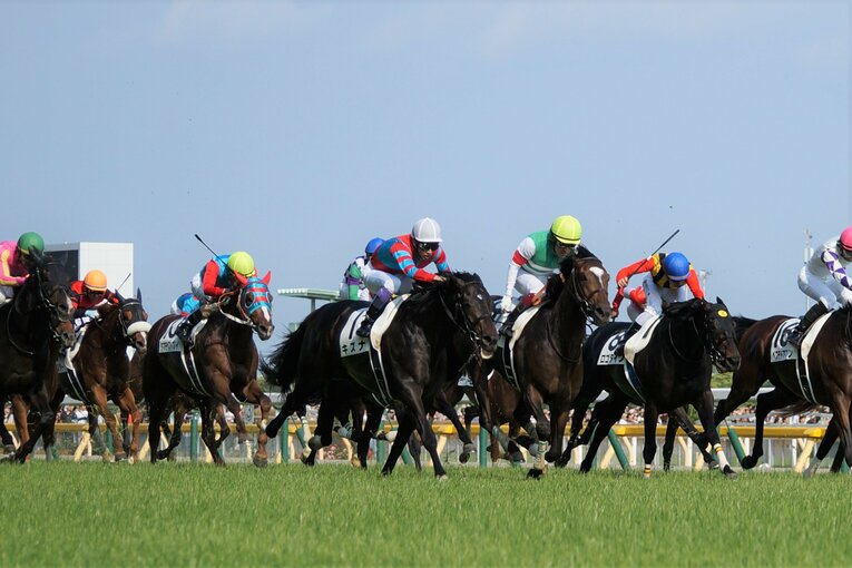 13年ダービーで2着のエピファネイア（右・黄帽）