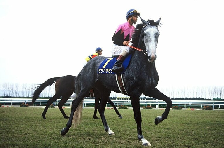 ビワハヤヒデ ／ photograph by Keiji Ishikawa