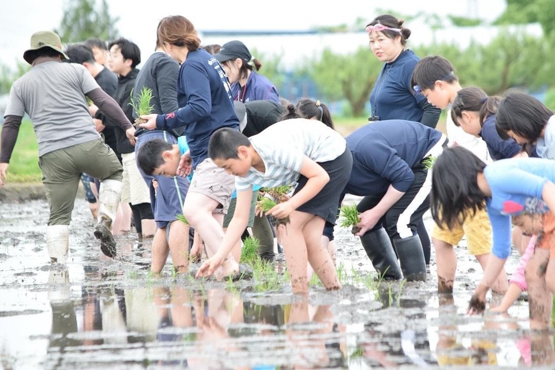 皆で力を合わせ、体を動かすことも楽しみながら田植えや稲刈りに挑戦　©️一社）ヤマガタアスリートラボ