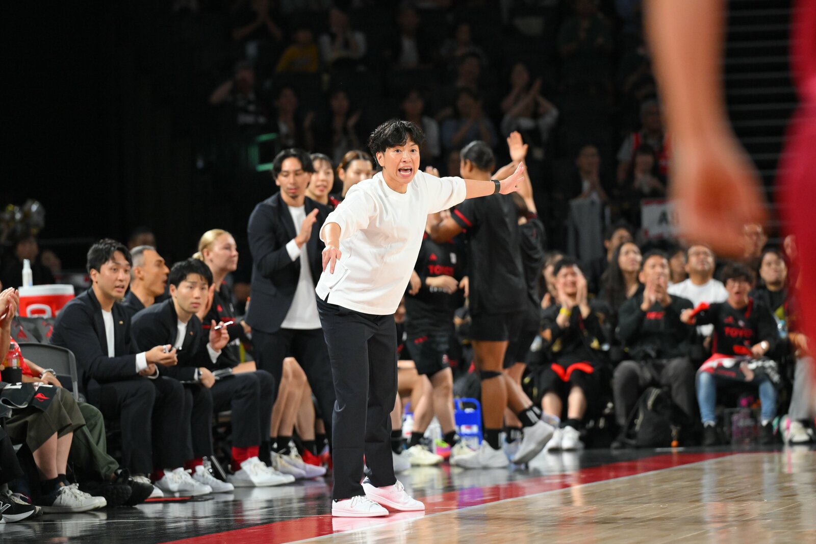 トヨタイムズスポーツ