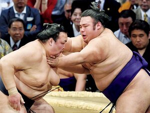 “貴乃花部屋の申し子”貴景勝。活躍は新師匠へのエールにも。～所縁ある千賀ノ浦親方のもとで育つ22歳～