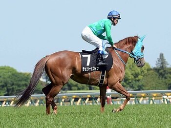 騎手とファンを悩ませる ムチの使用制限と油断騎乗 Jraに根付いた競馬観の功罪 競馬 Number Web ナンバー