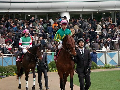 クレイグウィリアムズ サイン入り 競馬騎手帽子枠色カバー クレイグウィリアムズ サイン入り 競馬騎手帽子枠色カバー