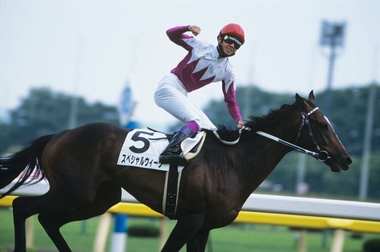 スペシャルウィーク 日本ダービー 競馬パネル - その他