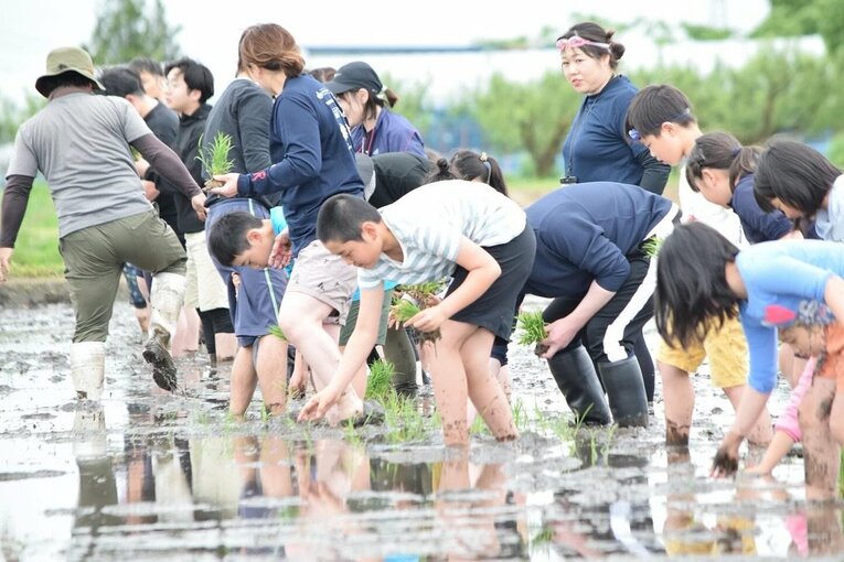 皆で力を合わせ、体を動かすことも楽しみながら田植えや稲刈りに挑戦　©️一社）ヤマガタアスリートラボ