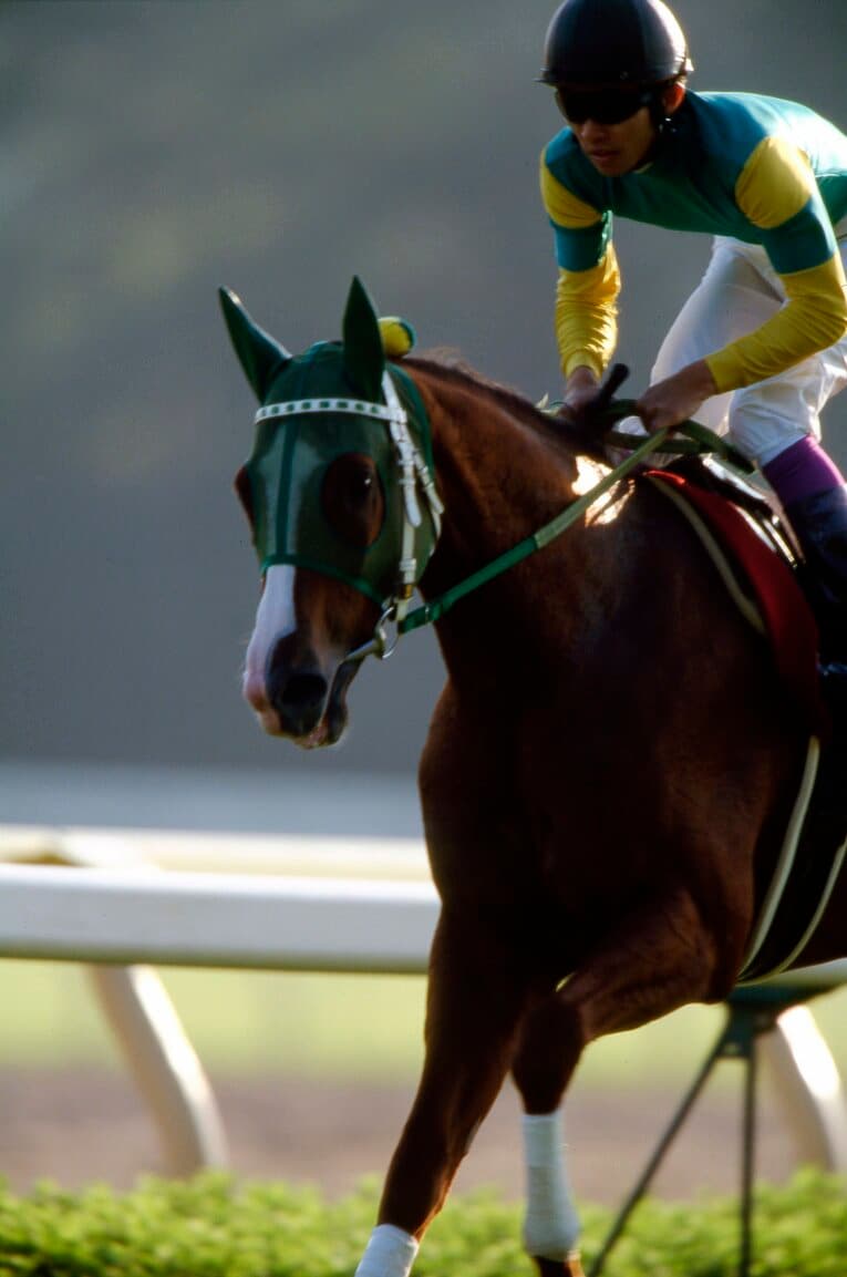 98年毎日王冠のサイレンススズカと武豊　(C)Bungeishunju